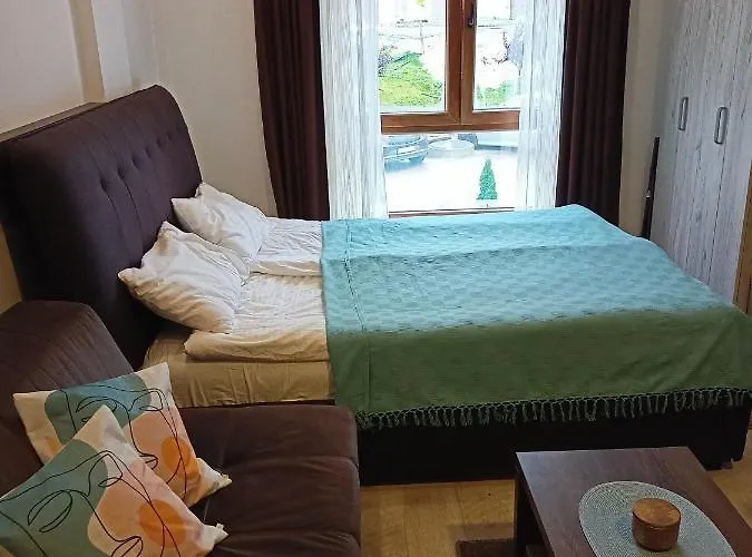 Vorkapich Milmari アパート コパオニク